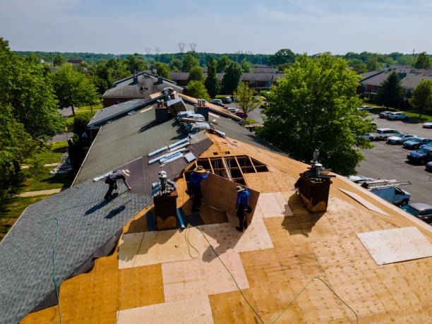 Best Flat Roof Repair Services  in Hazel Crest, IL