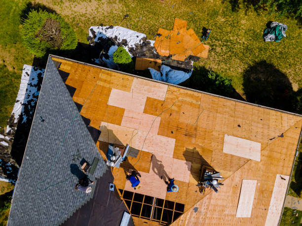 Best New Roof Installation  in Hazel Crest, IL