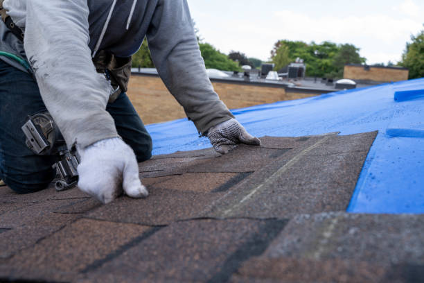 Roof Waterproofing Services in Hazel Crest, IL