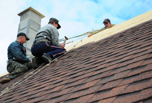 Best Gutter Installation and Roofing  in Hazel Crest, IL