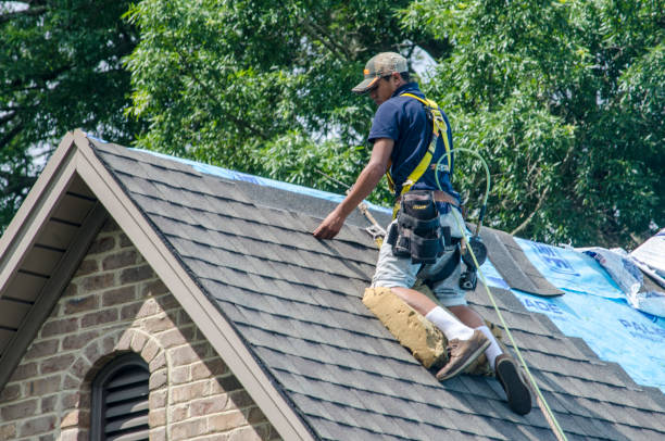 Best Roof Gutter Cleaning  in Hazel Crest, IL